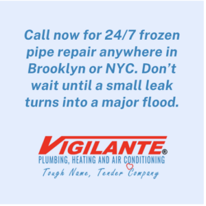 Brooklyn Plumber for Frozen